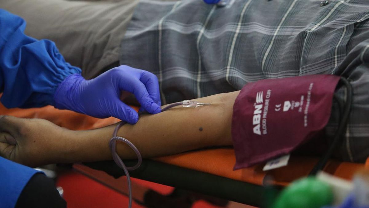 28 Syarat dan Ketentuan Donor Darah, Wajib Diketahui Pendonor