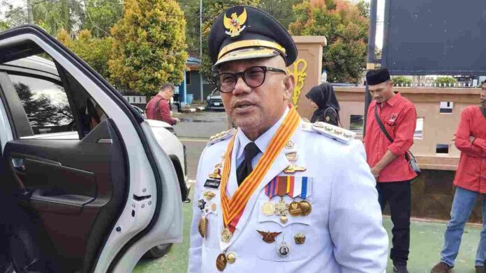 28 Wali Kota Tanjungpinang, Lis Darmansyah