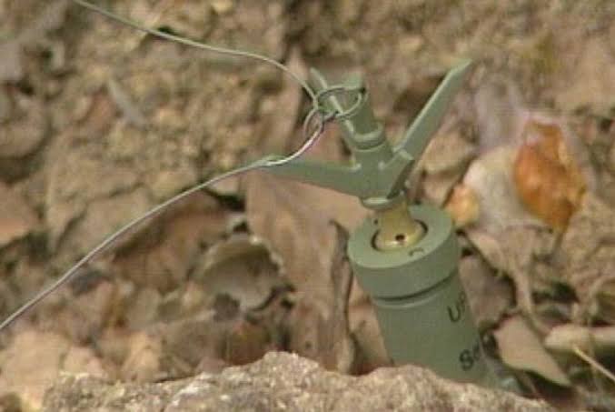 28 Thailand Tuduh Kamboja Tanam Ranjau di Daerah Sengketa