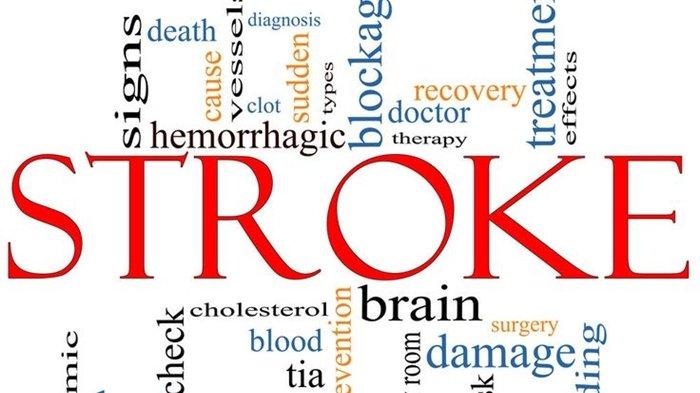 28 5 Cara Efektif Mencegah Stroke Sejak Dini Menurut Kemenkes RI